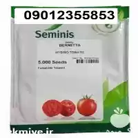 قیمت خرید بذر گوجه فرنگی برنتا در اصفهان در گروه خرید و فروش بذر گوجه در یکمیوه