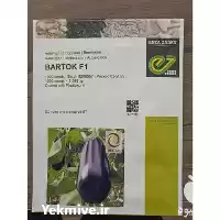 قیمت خرید بادمجان لامپی بارتوک در گروه خرید و فروش بادمجان در یکمیوه