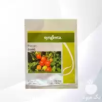 عرضه و فروش بذر گوجه جاوید در گروه خرید و فروش بذر گوجه در یکمیوه