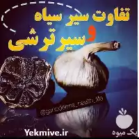 نمایندگی سیر سیاه فروش سیر سیاه در بوشهر در گروه محصولات ترشی در یکمیوه