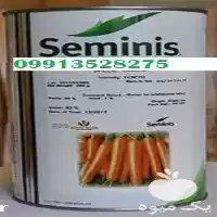 بذر هویج فورتو بذر پر فروش در گروه خرید و فروش هویج در یکمیوه