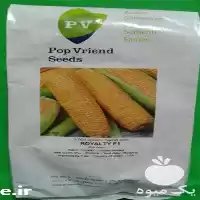 فروش بذر ذرت رویال تی شیرین در اردبیل در گروه خرید و فروش بذر ذرت در یکمیوه