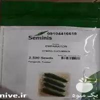 قیمت خرید بذر خیار امپراطور در گروه خرید و فروش بذر خیار در یکمیوه