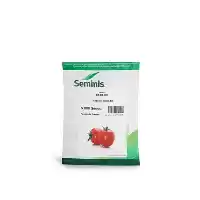 قیمت خرید بذر گوجه فرنگی بدرو در گروه خرید و فروش بذر گوجه در یکمیوه