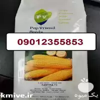 فروش بذر ذرت سمیرا با کیفیت در گروه خرید و فروش بذر ذرت در یکمیوه