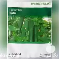 قیمت خرید بذر خیار گلخانه ای در گروه خرید و فروش بذر خیار در یکمیوه