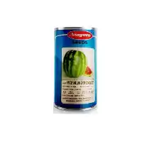 فروش بذر هندوانه کریمسون سویت نیاگارا در تبریز در گروه خرید و فروش بذر هندوانه در یکمیوه