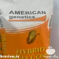 فروش بذر ذرت امریکن ژنتیکس در سنندج در گروه خرید و فروش بذر ذرت در یکمیوه