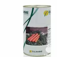 قیمت خرید سنتورین کلوز بذر هویج در تهران در گروه خرید و فروش بذر هویج در یکمیوه