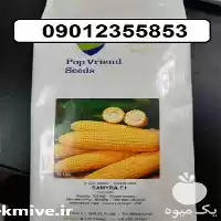 قیمت خرید بذر ذرت سمیرا در یزد در گروه خرید و فروش بذر ذرت در یکمیوه