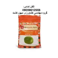 بذر هندوانه سوغات در گرگان در گروه خرید و فروش بذر هندوانه در یکمیوه