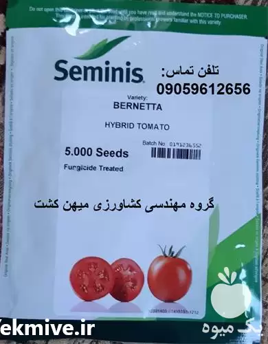 قیمت خرید بذر گوجه فرنگی برنتا در اصفهان در گروه خرید و فروش بذر گوجه در یکمیوه -عکس1