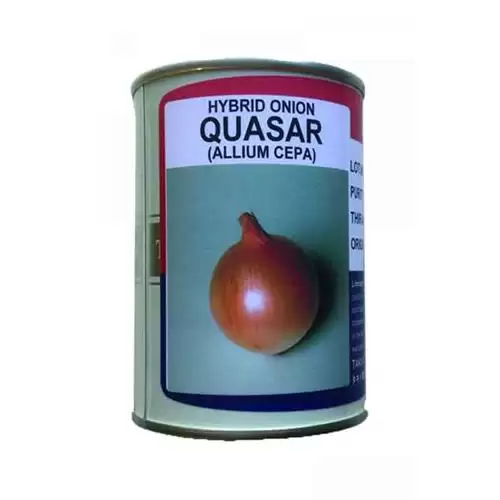 فروش بذر پیاز تاکی ژاپن در ارومیه در گروه خرید و فروش بذر پیاز در یکمیوه -عکس1