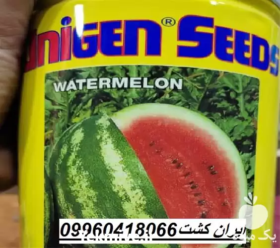 فروش بذر هندوانه خطی یونی ژن در گروه خرید و فروش بذر هندوانه در یکمیوه -عکس1