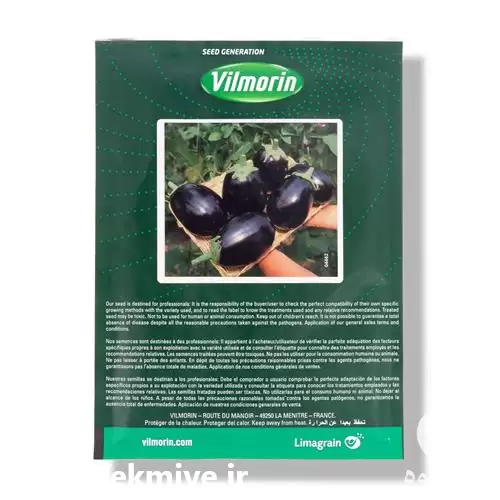 فروش عرضه بذر بادمجان دلمه ای در گروه خرید و فروش بذر بادمجان در یکمیوه -عکس1