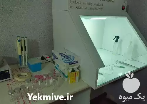 آموزش تئوری عملی کشت در مشهد در گروه آزمایشگاه در یکمیوه -عکس1