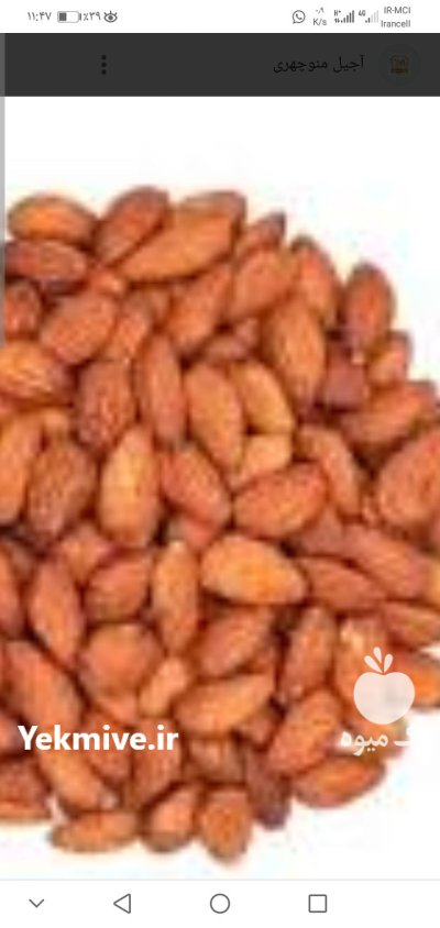 فروش بادام امسال در گروه باغدار در یکمیوه -عکس1