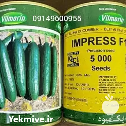 قیمت خرید قیمت بذر خیار ویلمورین در رشت در گروه خرید و فروش بذر خیار در یکمیوه -عکس1