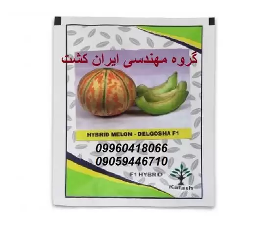 قیمت خرید بذر طالبی شاهپسند دلگشا در گروه خرید و فروش بذر طالبی در یکمیوه -عکس1