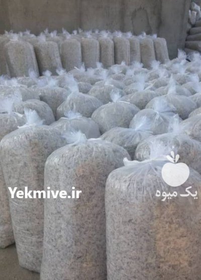 تفاله تر سیب و ذرت علوفه در گروه خوراک دام و طیور در یکمیوه -عکس2