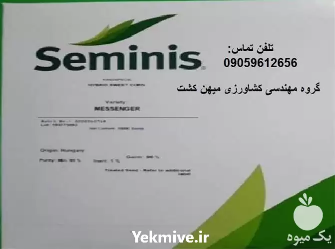 قیمت خرید بذر ذرت مسنجر در قزوین در گروه خرید و فروش بذر ذرت در یکمیوه -عکس1