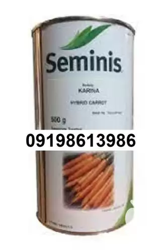 بذر هویج پر فروش کارینا اصل در بوشهر در گروه خرید و فروش دستگاه هویج در یکمیوه -عکس1