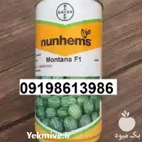 بذر هندوانه مونتانا پر فروش اصل در گروه خرید و فروش هندوانه در یکمیوه