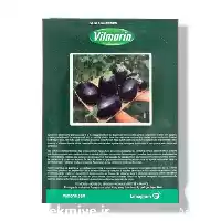 فروش عرضه بذر بادمجان دلمه ای در گروه خرید و فروش بذر بادمجان در یکمیوه