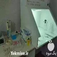 آموزش تئوری عملی کشت در مشهد در گروه آزمایشگاه در یکمیوه