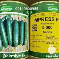 قیمت خرید قیمت بذر خیار ویلمورین در رشت در گروه خرید و فروش بذر خیار در یکمیوه