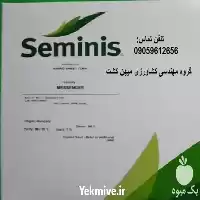قیمت خرید بذر ذرت مسنجر در قزوین در گروه خرید و فروش بذر ذرت در یکمیوه