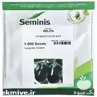 قیمت خرید بذر بادمجان در گروه خرید و فروش بذر بادمجان در یکمیوه