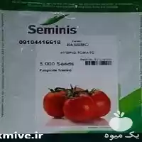 قیمت خرید بذر گوجه فرنگی ثمین در سمنان در گروه خرید و فروش بذر گوجه در یکمیوه