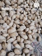 آگهی مشابه فروش بادام مامایی و در شهرکرد در گروه خرید و فروش بادام در یکمیوه