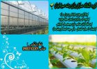 گروه گلخانه سازان پازن رشد سبز در تهران در گروه سازنده در یکمیوه
