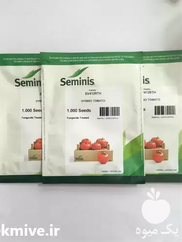 قیمت خرید بذر گوجه 4129 سیمینس در تهران در گروه خرید و فروش بذر گوجه در یکمیوه -عکس1