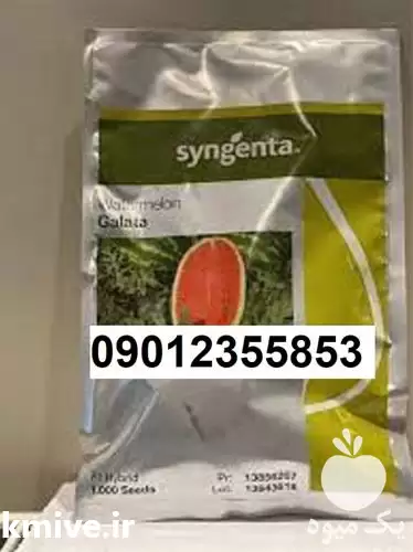 فروش عرضه بذر هندوانه گالاتا پر در بوشهر در گروه خرید و فروش بذر هندوانه در یکمیوه -عکس1