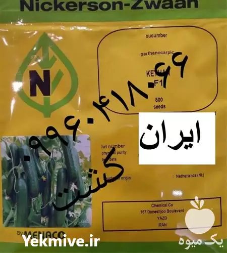 قیمت خرید بذر خیار گلخانه ای در تهران در گروه خرید و فروش بذر خیار در یکمیوه -عکس1