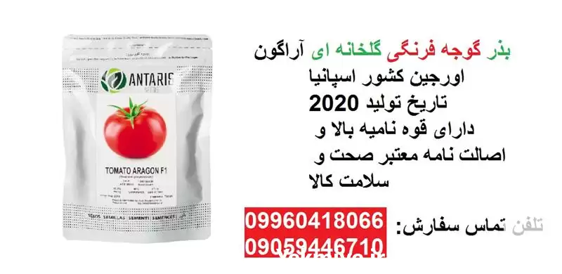 فروش بذر گوجه فرنگی گلخانه ای در گرگان در گروه خرید و فروش بذر گوجه در یکمیوه -عکس1