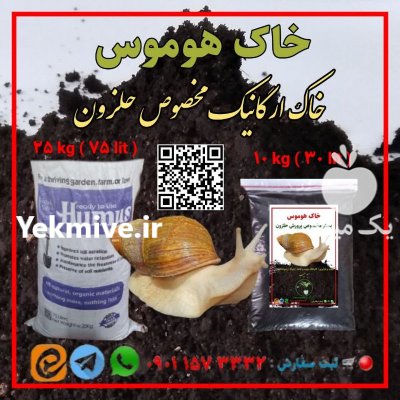 خاک هوموس مخصوص پرورش حلزون در رشت در گروه انواع محصولات خاک و تغذیه در یکمیوه -عکس1