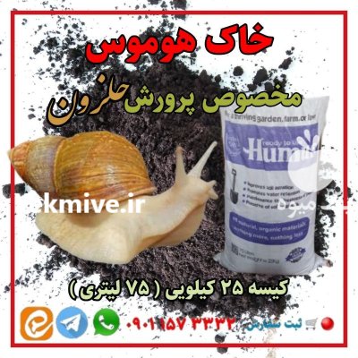 خاک هوموس مخصوص پرورش حلزون در رشت در گروه انواع محصولات خاک و تغذیه در یکمیوه -عکس2