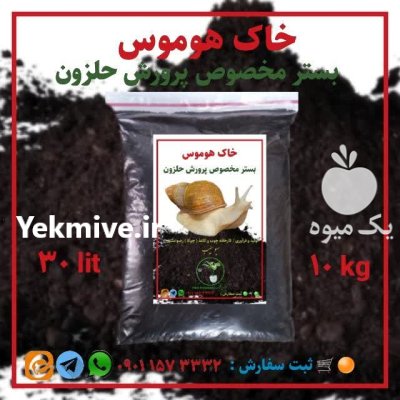 خاک هوموس مخصوص پرورش حلزون در رشت در گروه انواع محصولات خاک و تغذیه در یکمیوه -عکس3