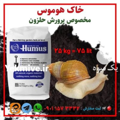 خاک هوموس مخصوص پرورش حلزون در رشت در گروه انواع محصولات خاک و تغذیه در یکمیوه -عکس4