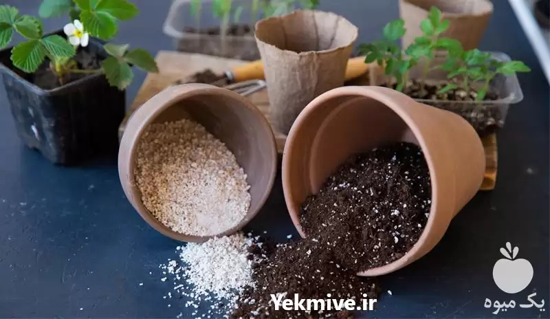 قیمت خرید خاک گیاهان آپارتمانی بسته در گروه انواع محصولات خاک و تغذیه در یکمیوه -عکس1
