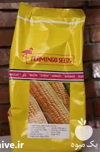 فروش عرضه بذر ذرت فلامینگو در گروه خرید و فروش بذر ذرت در یکمیوه -عکس1