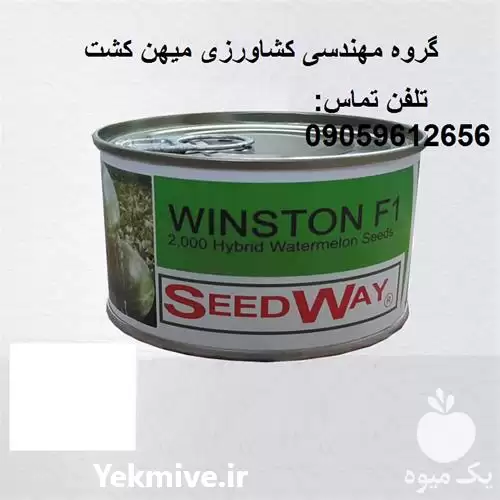 بذر هندوانه وینستون F 1 در زاهدان در گروه خرید و فروش هندوانه در یکمیوه -عکس1