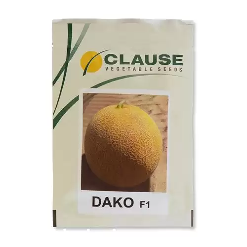 قیمت خرید عرضه بذر خربزه گالیا در گروه خرید و فروش بذر خربزه در یکمیوه -عکس1