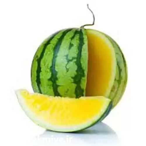 قیمت خرید بذر هندوانه آناناسی در تبریز در گروه خرید و فروش بذر هندوانه در یکمیوه -عکس1