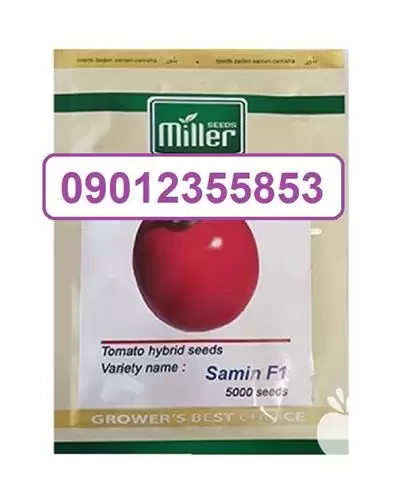 فروش بذر گوجه فرنگی ثمین در اصفهان در گروه خرید و فروش بذر گوجه در یکمیوه -عکس1