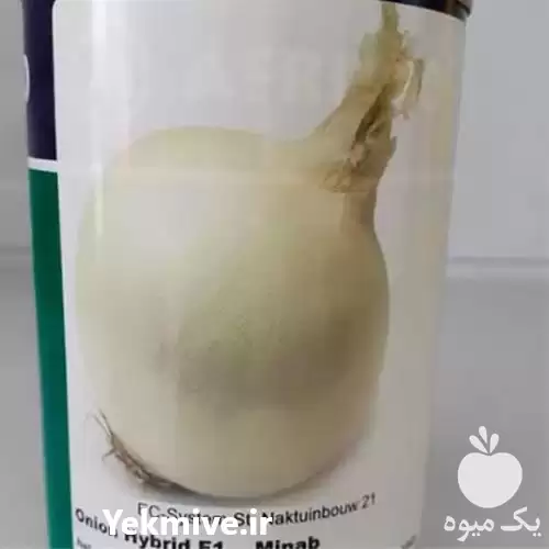 قیمت خرید بذر پیاز سفید سایروس در قزوین در گروه خرید و فروش بذر پیاز در یکمیوه -عکس1